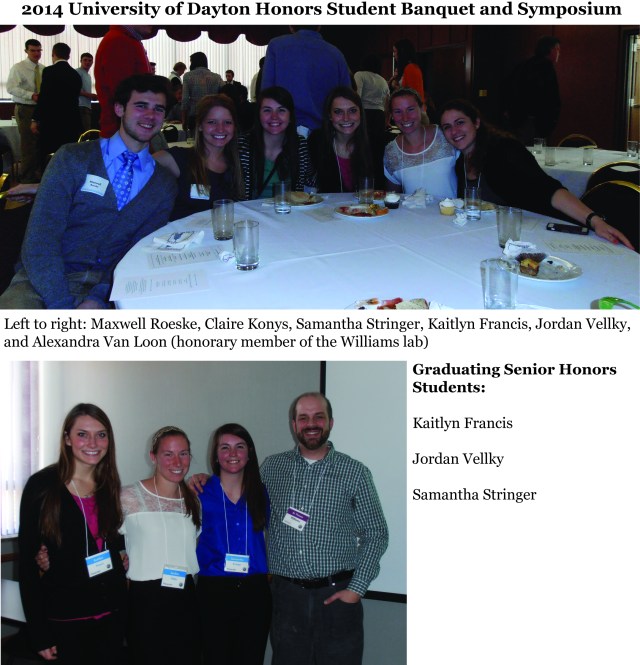 2014 Honors Pictures