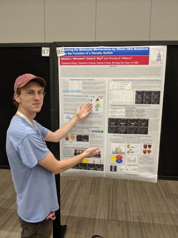 2019-08-01 Luke Weinstein.jpg